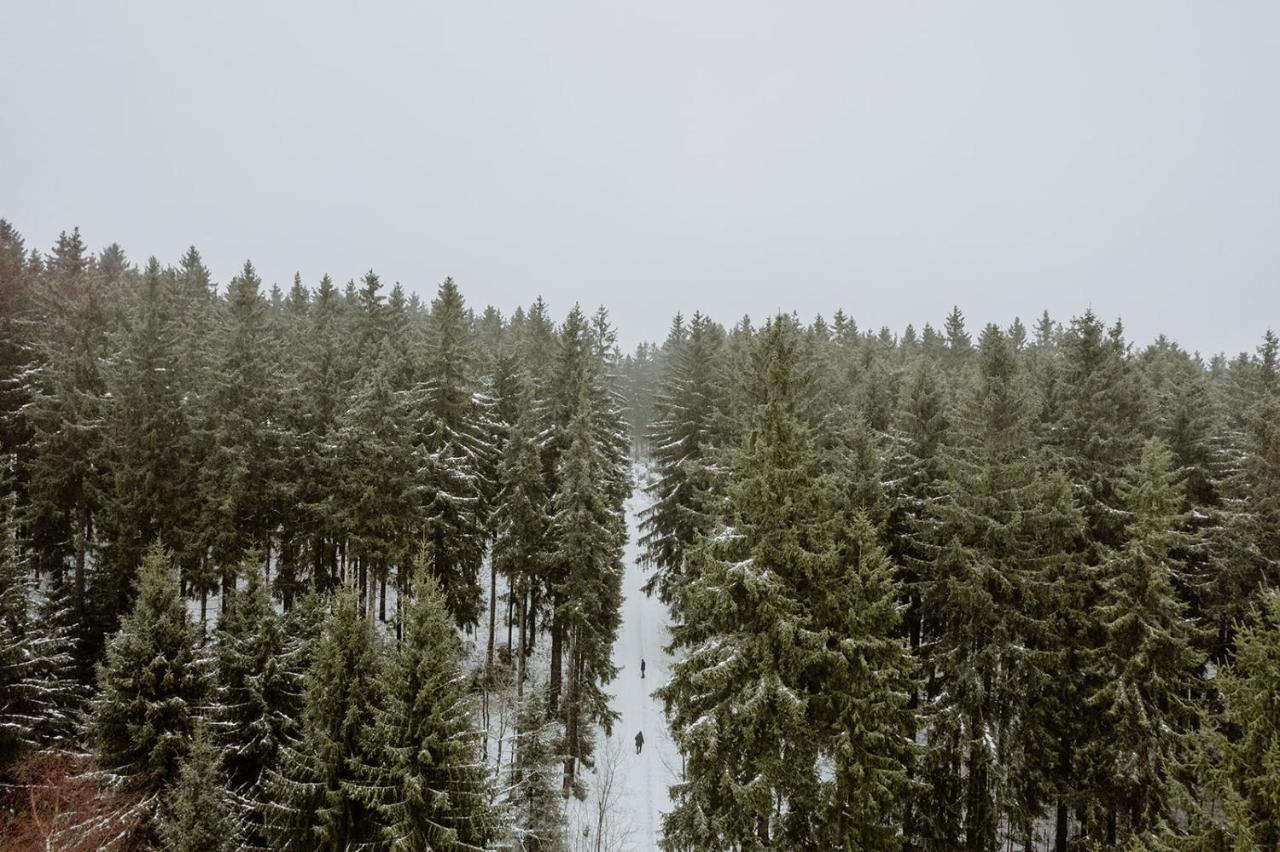 Waldhotel Kreuztanne Sayda Luaran gambar