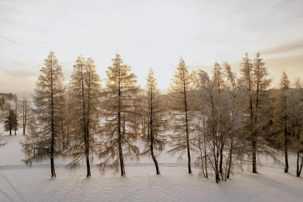 Waldhotel Kreuztanne Sayda Luaran gambar