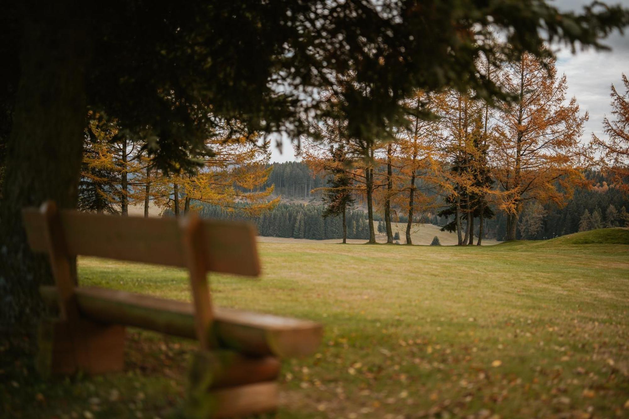 Waldhotel Kreuztanne Sayda Luaran gambar